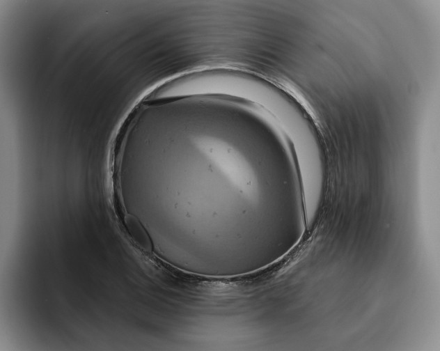 X0000091641124200709201103