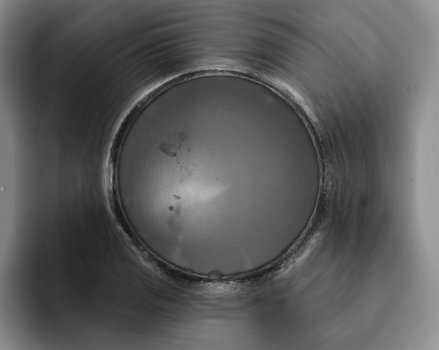 X0000091641125200709201103