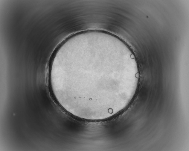 X0000091641126200709201103