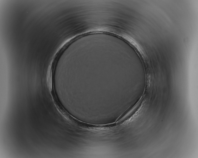 X0000091641127200709201103