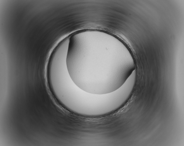 X0000091641128200709201103