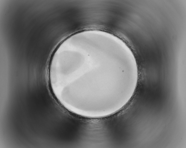 X0000091641130200709201103
