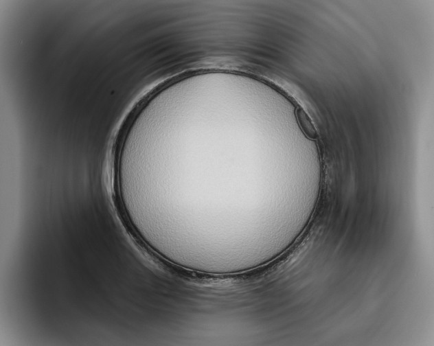 X0000091641131200709201103
