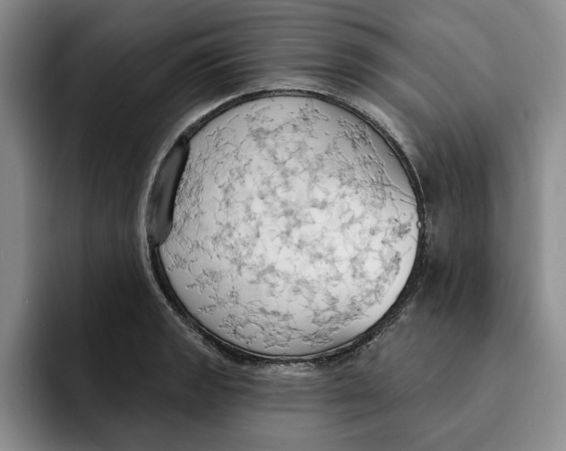 X0000091641133200709201103
