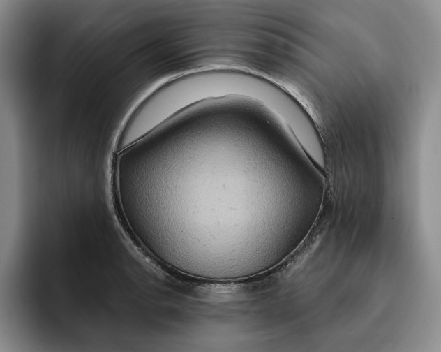 X0000091641134200709201103