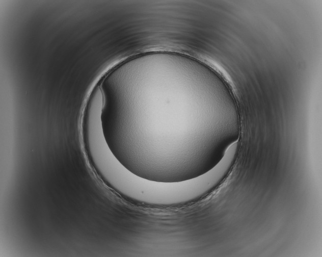 X0000091641138200709201103