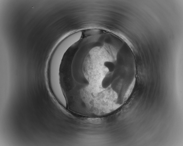 X0000091641142200709201103