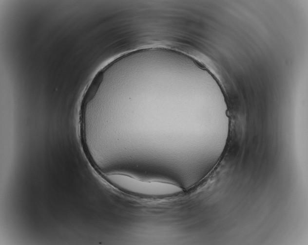 X0000091641143200709201103