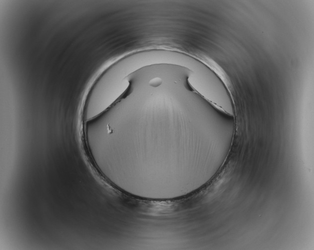X0000091641144200709201103