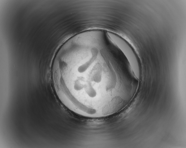 X0000091641145200709201103