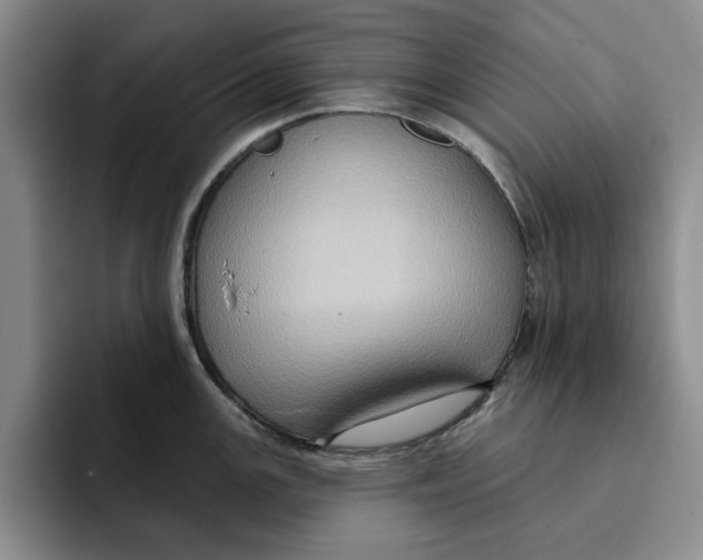X0000091641147200709201103