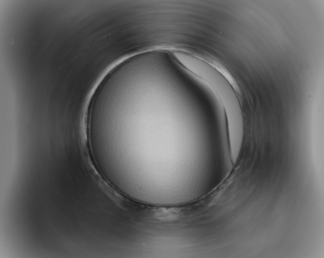 X0000091641148200709201103