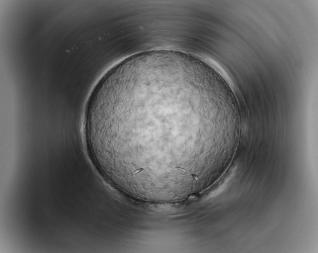X0000091641149200709201103