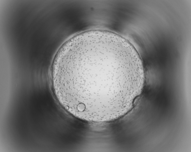 X0000091641150200709201103