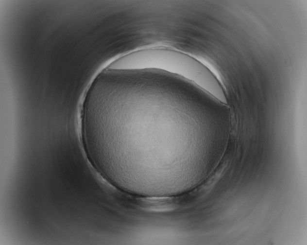X0000091641151200709201103