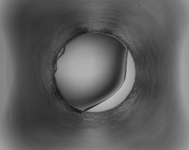 X0000091641153200709201103