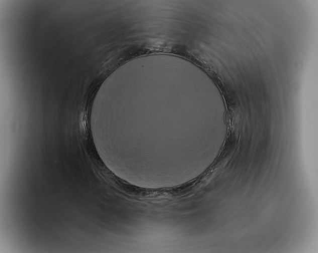 X0000091641154200709201103
