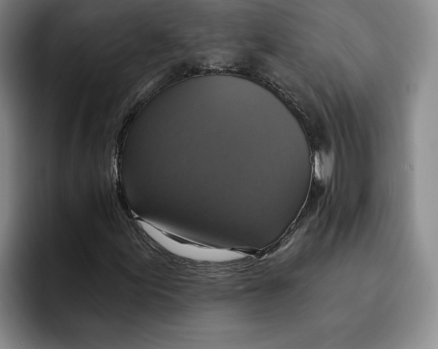 X0000091641155200709201103