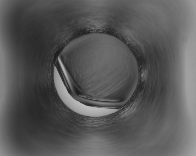 X0000091641156200709201103