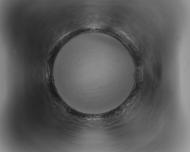 X0000091641158200709201103