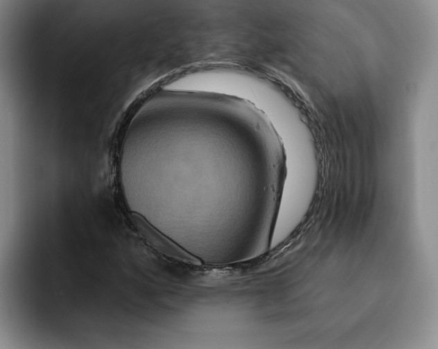 X0000091641160200709201103