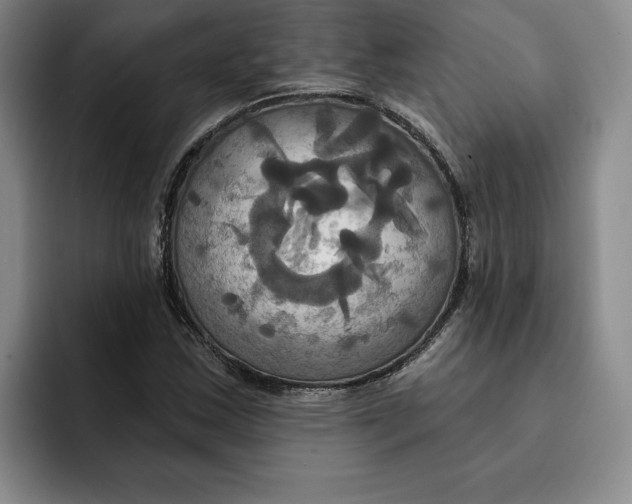X0000091641163200709201103