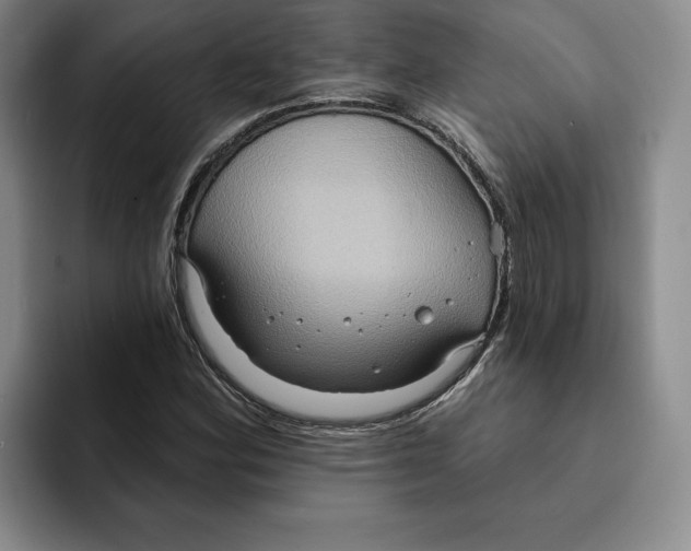 X0000091641164200709201103