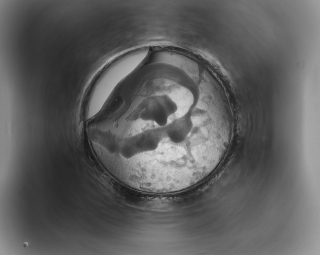 X0000091641167200709201103