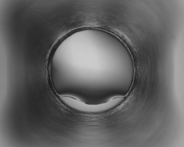 X0000091641168200709201103