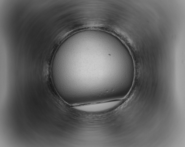 X0000091641169200709201103
