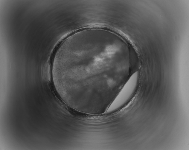 X0000091641171200709201103