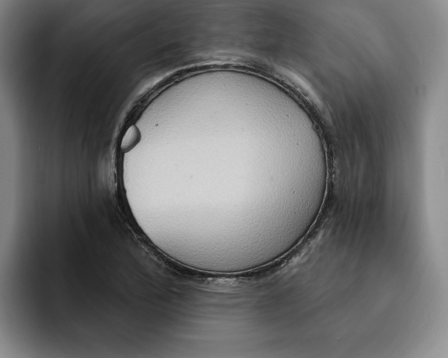 X0000091641172200709201103