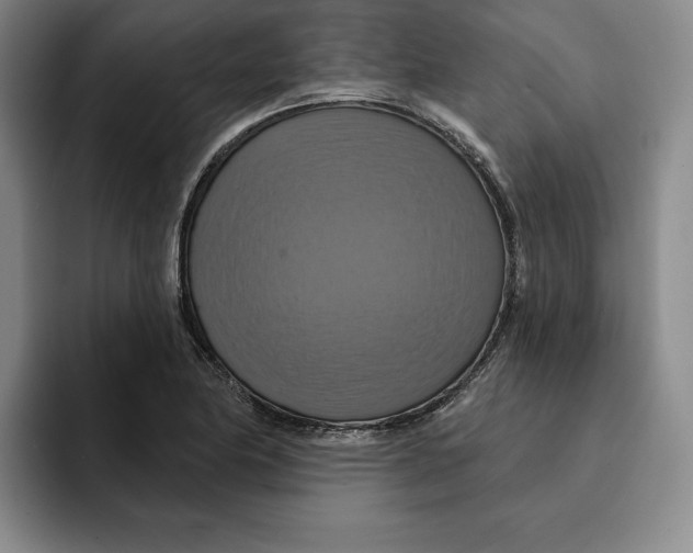 X0000091641174200709201103