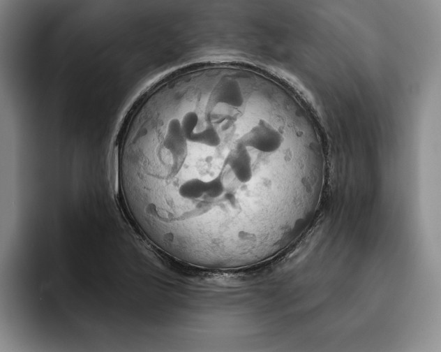 X0000091641175200709201103