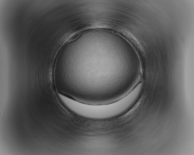 X0000091641177200709201103