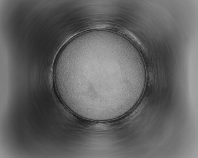 X0000091641178200709201103