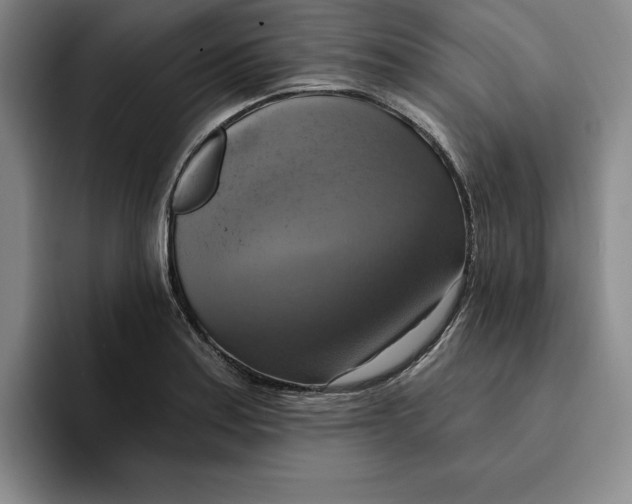 X0000091641179200709201102