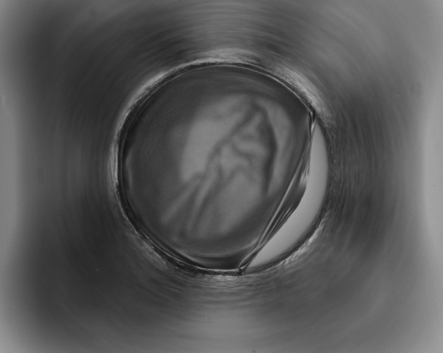X0000091641180200709201102