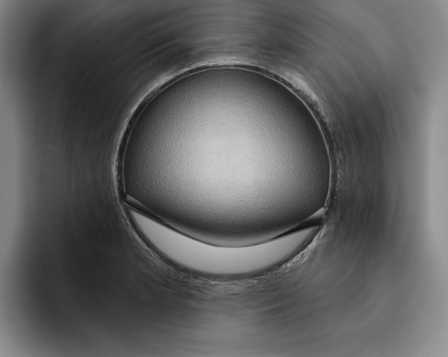 X0000091641181200709201102