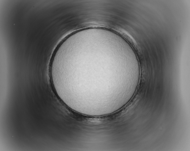 X0000091641182200709201102