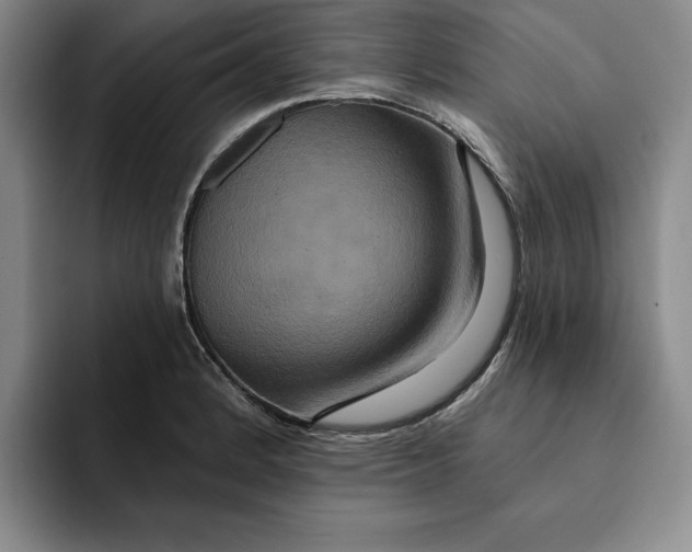 X0000091641184200709201102