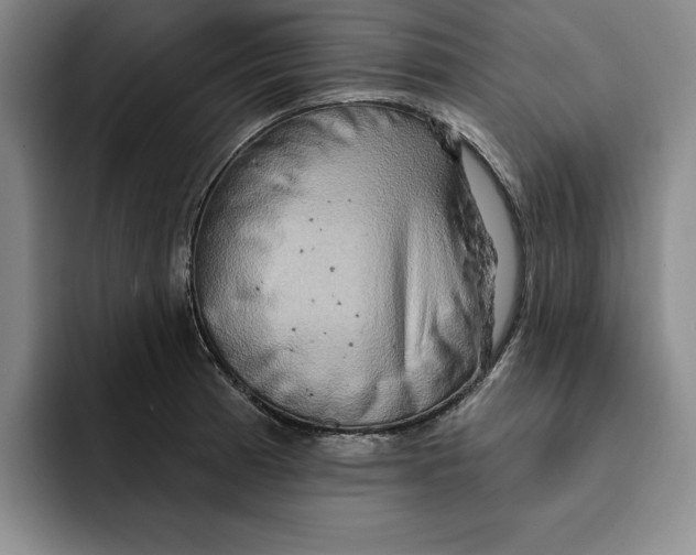 X0000091641185200709201102