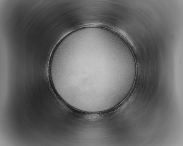 X0000091641186200709201102