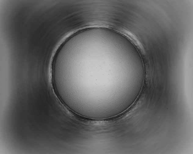 X0000091641188200709201102