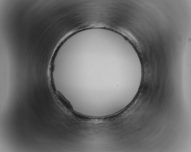 X0000091641190200709201102