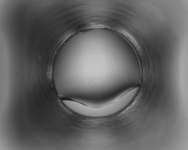 X0000091641193200709201102