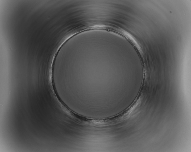 X0000091641194200709201102