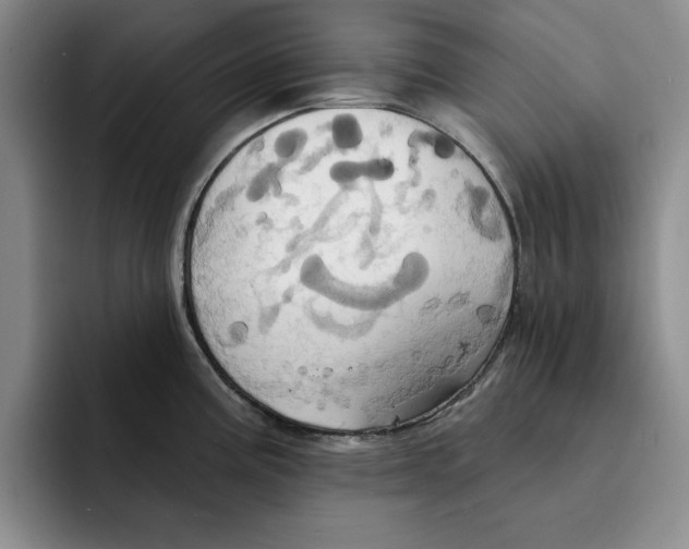 X0000091641195200709201102