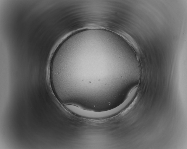 X0000091641196200709201102
