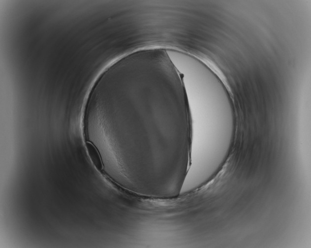 X0000091641197200709201102